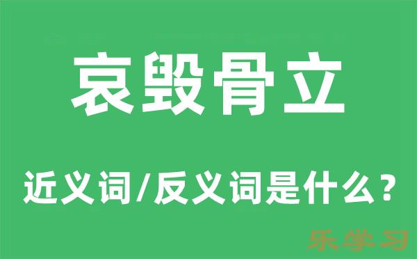 哀毁骨立的近义词和反义词是什么-哀毁骨立是什么意思?