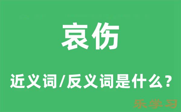 哀伤的近义词和反义词是什么-哀伤是什么意思?