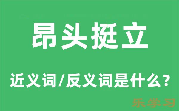 昂首挺立的近义词和反义词是什么-昂首挺立是什么意思?