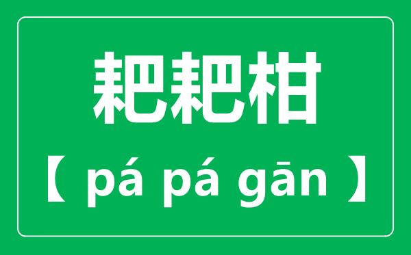 耙耙柑怎么读-耙耙柑念pa还是ba-耙耙柑和橘子的区别是什么?