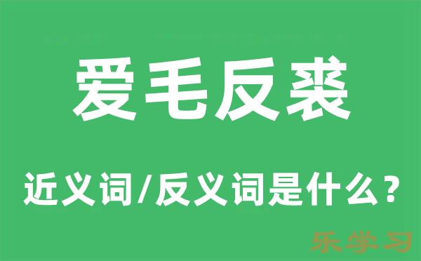 爱毛反裘的近义词和反义词是什么-爱毛反裘是什么意思?