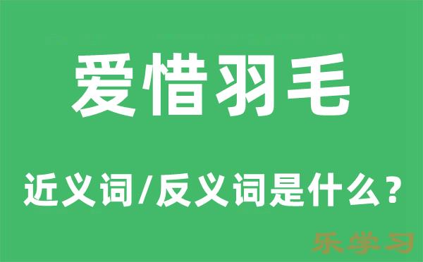 爱惜羽毛的近义词和反义词是什么-爱惜羽毛是什么意思?