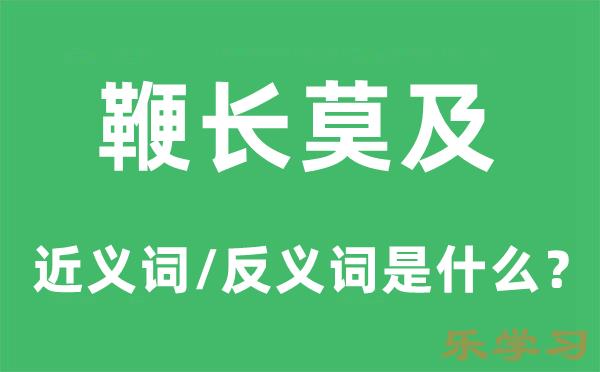 鞭长莫及的近义词和反义词是什么-鞭长莫及是什么意思?