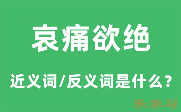 哀痛欲绝的近义词和反义词是什么-哀痛欲绝是什么意思?