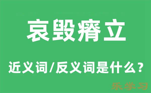 哀毁瘠立的近义词和反义词是什么-哀毁瘠立是什么意思?