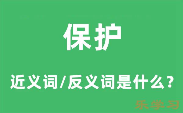 保护的近义词和反义词是什么-保护是什么意思?