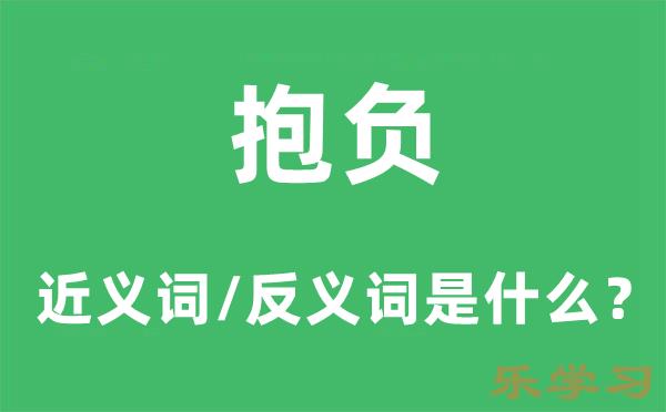 抱负的近义词和反义词是什么-抱负是什么意思?