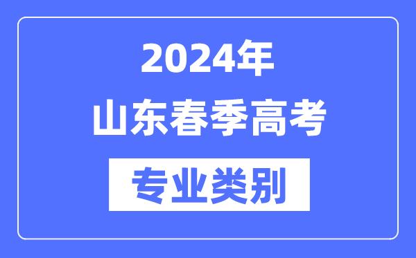 2024年山东春季高考有哪些专业类别？