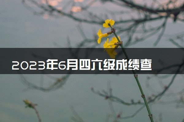 2023年6月四六级成绩查询时间 几号查成绩