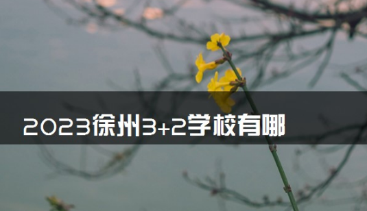 2023徐州3+2学校有哪些学校 值得上吗