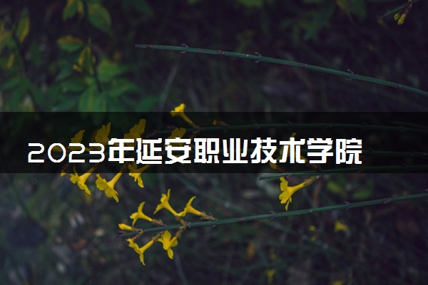 2023年延安职业技术学院学费多少钱一年及各专业收费标准查询