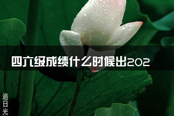 四六级成绩什么时候出2023上半年 怎么查询