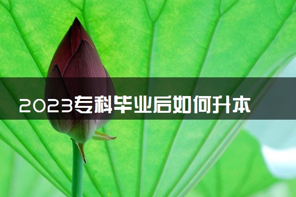 2023专科毕业后如何升本科 需要什么条件