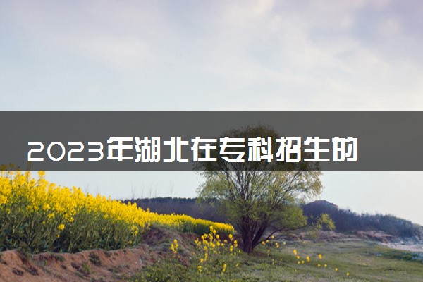 2023年湖北在专科招生的本科大学