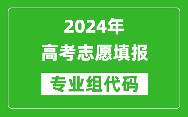 2024年高考志愿填报的专业组代码是什么意思？