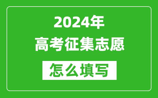 2024年征集志愿怎么填写-征集志愿填报流程与方法