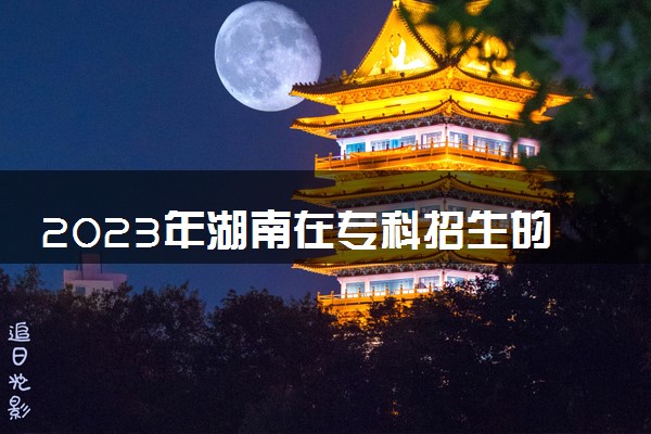 2023年湖南在专科招生的本科大学