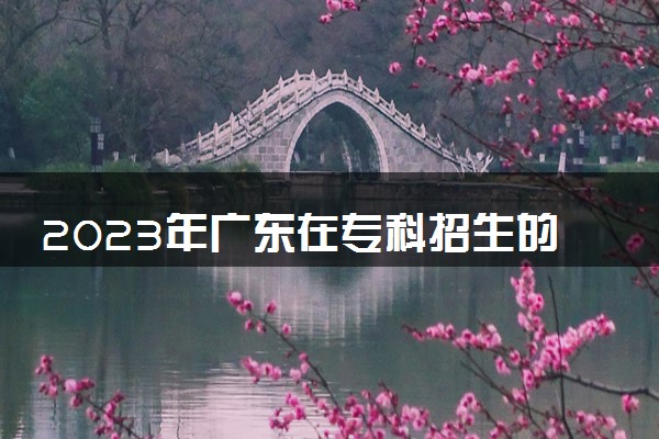 2023年广东在专科招生的本科大学