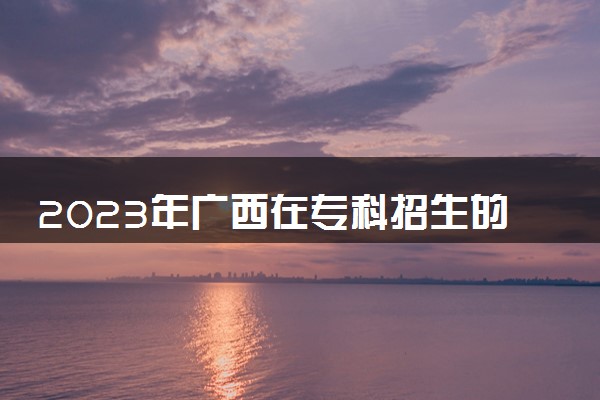 2023年广西在专科招生的本科大学