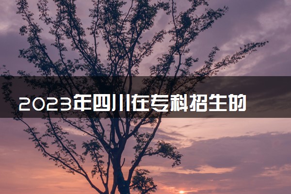 2023年四川在专科招生的本科大学