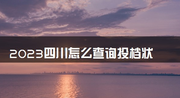 2023四川怎么查询投档状态 查询方法有哪些