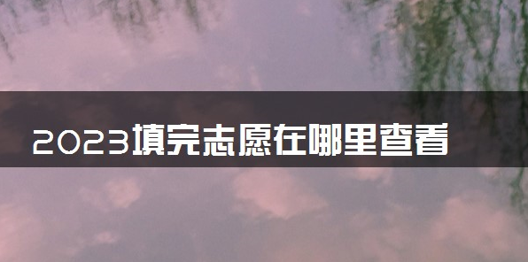 2023填完志愿在哪里查看录取状态 怎么查询