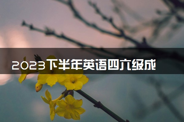 2023下半年英语四六级成绩查询时间及方法